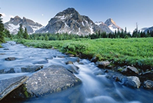 British Columbia Mountains Prints: Mount Assiniboine