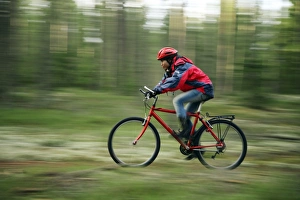 Cycling In Scandinavia Prints: Mountain biking