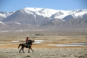Central Asia Landscapes Prints: Mounted shepherd in Russian steppe