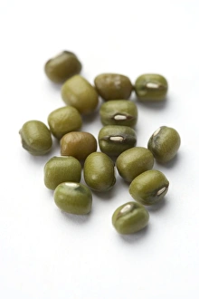 Legume Plant Images Prints: Mung beans