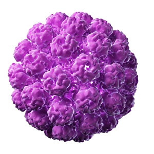 Computer Virus Artwork Prints: Murine polyomavirus, artwork