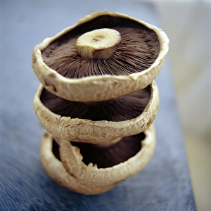 Prints of Edible mushrooms. Mushrooms are rich in fibre and copper. They are also a source of the vitamins B2 (riboflavin) and B3 (niacin) Images Dated 2003 June: Edible Mushrooms Print