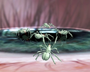 Nano Surgery Print: Robotic Spiders Repairing an Eye