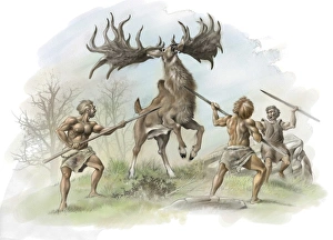 Neanderthals hunting Irish elk, artwork Neanderthals hunting Irish elk, artwork