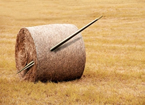 Conceptual Computer Artwork Prints: Needle in a haystack, conceptual artwork