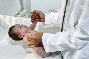 Prints of MODEL RELEASED. Neonatal reflex test. Doctor testing a newborn baby boys grasping reflex. This occurs when a finger or other object is placed in the babys palm Images Dated 2007 March: Neonatal Grasping Reflex Print
