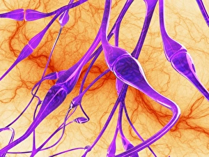 Neuron Communication Prints: Nerve synapses, artwork