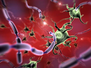 Myelin Sheath Structure Prints: Neural network