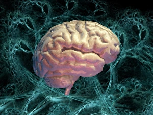 Neural Network Print