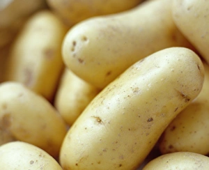 New Potatoes Prints: New potatoes