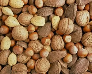 Images Dated 15th June 1993: Nuts: almonds, brazils, hazelnuts & walnuts