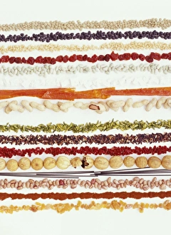 Protein Rich Legumes Prints: Nuts, beans and seeds