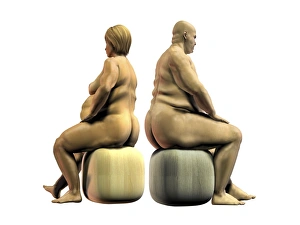 Images Dated 25th October 2012: Obesity Print - Side View of Overweight Couple