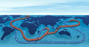 Images Dated 4th May 2011: Ocean Circulation Print