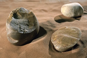 Olduvai Gorge Print of Oldowan Stone Tools