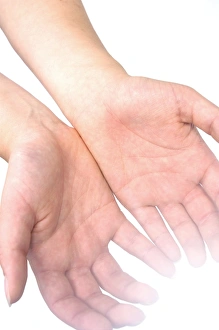 Prints of Open hands, held out palms upward Images Dated 2008 November: Open Hands Print, Palms Upward