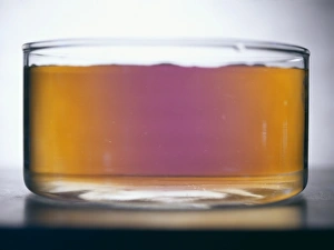 Optical Activity of Fructose Print