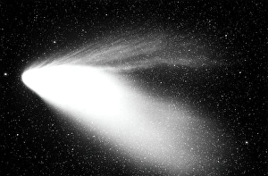Cosmology Science Images Prints: Optical image of comet Hale-Bopp