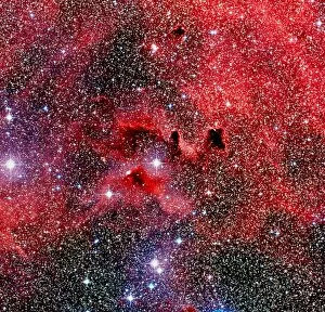Images Dated 5th August 1998: Optical image of a dark nebula on the Gum nebula