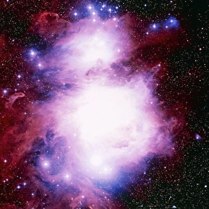 Orion Nebula Prints: Optical image of the Orion Nebula