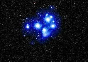 Images Dated 16th July 1998: Optical image of the Pleiades star cluster
