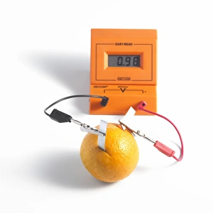 Prints of Orange battery. Copper (orange) and zinc (silver) electrodes have been inserted into an orange and connected to wires to produce electricity. The voltmeter (top) is showing the voltage generated Images Dated 2011 October: Orange Battery Print: Copper and Zinc Electrodes in an Orange
