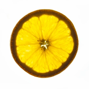 Orange Slice Prints: Orange slice