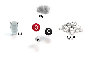 Organic chemistry building blocks C017/3599 Organic chemistry building blocks C017/3599