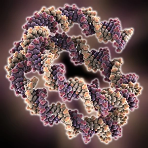 Deoxyribonucleic Acid Prints: Packaged DNA molecule