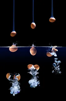 Panspermia theory of life Panspermia theory of life