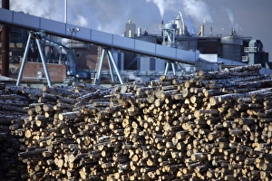 Timber Print at a Swedish Paper Mill