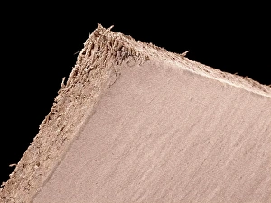 SEM Print of Coloured Wood Fibre Mesh