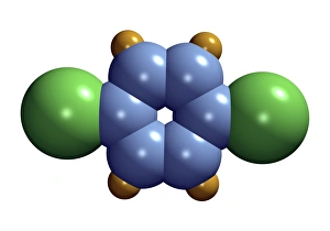 para-Dichlorobenzene molecule para-Dichlorobenzene molecule