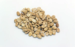 Dry-roasted peanuts print
