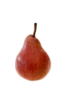 Pyrus Communis Prints: Pear Red Williams
