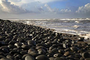 North Devon Coastline Prints: Pebble ridge