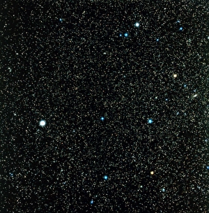 Zodiacal Constellations Prints: Pegasus constellation
