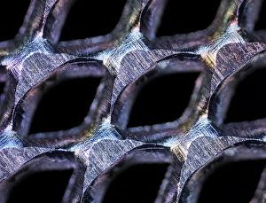 Polarised Light Microscopy Prints: Perforated steel sheet, light micrograph