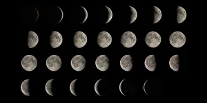 Scientific Posters: Print of the Moon's 28-day cycle in various phases