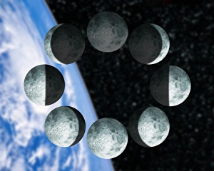 Phases of the Moon Print