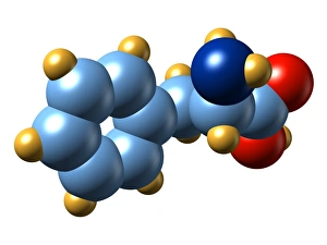 Amino Acid Structure Prints: Phenylalanine, molecular model