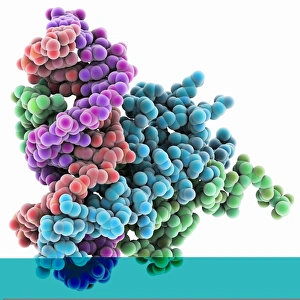 Pho4 transcription factor bound to DNA C014/0861 Pho4 transcription factor bound to DNA C014/0861