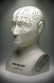 Images Dated 5th August 2004: Phrenology bust print