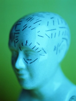 19th Century Science Prints: Phrenology model