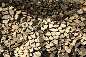 Split Logs Prints: Pile of logs