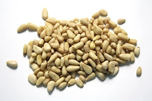 Pine Nuts Prints: Pine nuts