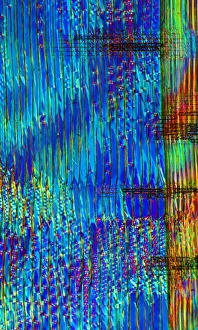 Polarised Light Microscopy Prints: Pine wood structure, light micrograph