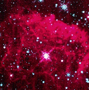 Stellar Evolution Process Prints: Pistol star