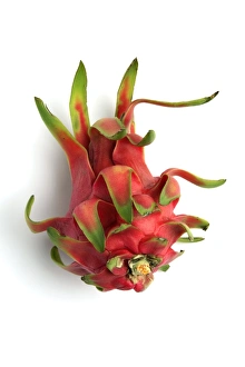 Dragon Fruit Nutrition Prints: Pitahaya fruit