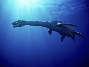Marine Reptiles Prints: Plesiosaur